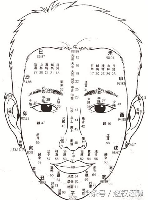 面相行運年齡|1到100歲，面相流年氣運圖教你如何看自己的面相